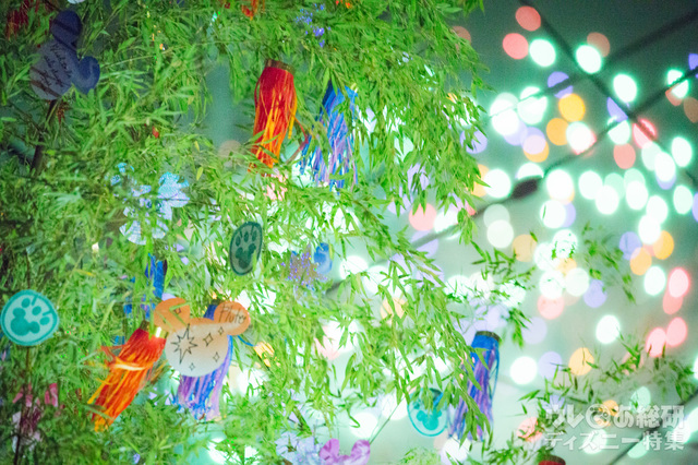 スカイハイ・ウィッシュxウィッシングプレイス