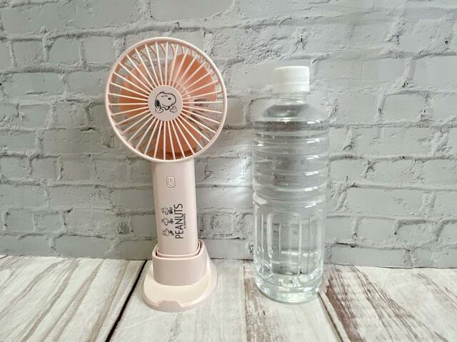 550mlのペットボトルと並べてみました