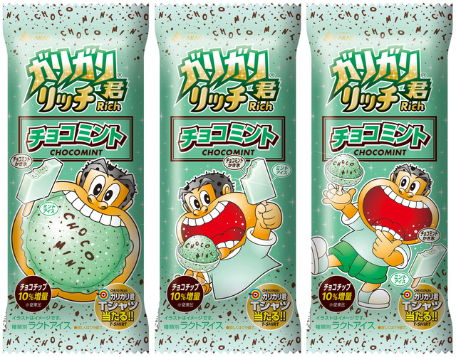 ガリガリ君リッチチョコミント