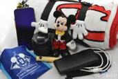 【ディズニー持ち物リスト】「必需品＆便利グッズ」ランド＆シー常連に聞いてみた！【あると便利】