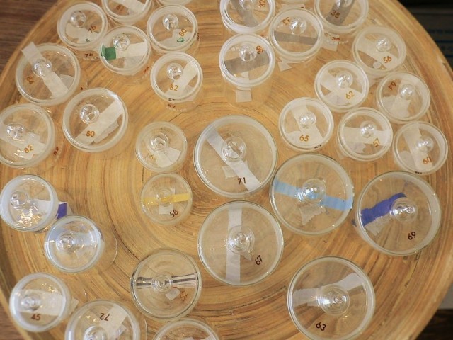 清澄白河『リカシツ』／秤量瓶。上から見ると…