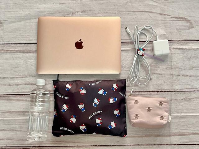 フラットタイプのトートバッグですが、これだけのものが収納可能！