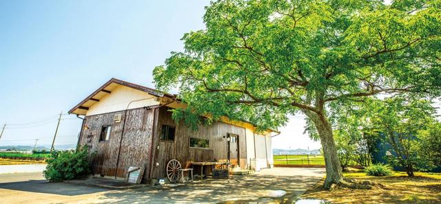メロンカフェ【静岡・袋井】