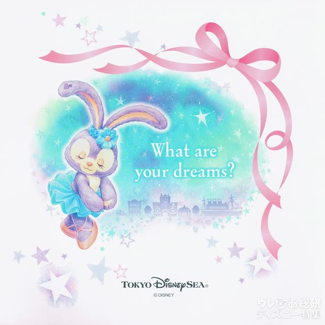 ディズニースナップフォトの台紙（裏表紙）