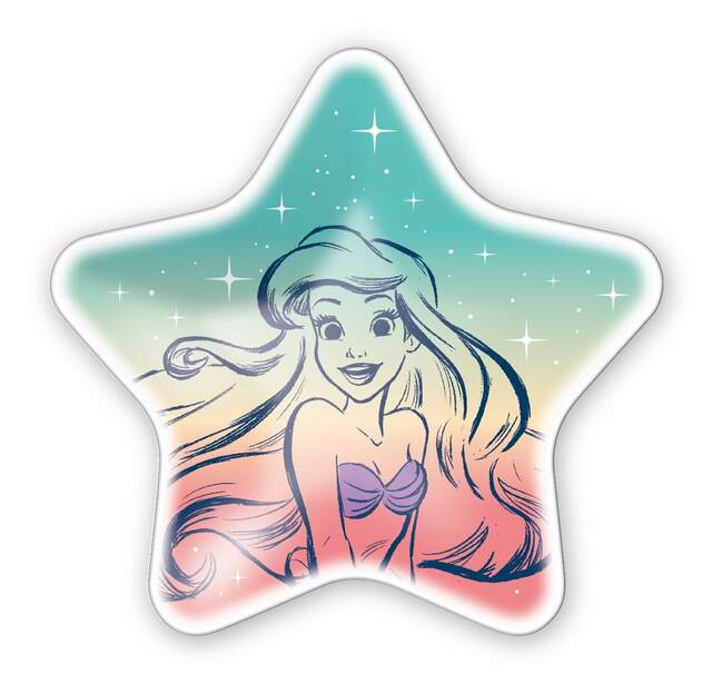 F賞 スタープレート