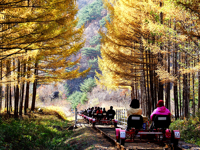 旌善レールバイク　写真提供：江原道、韓国観光公社