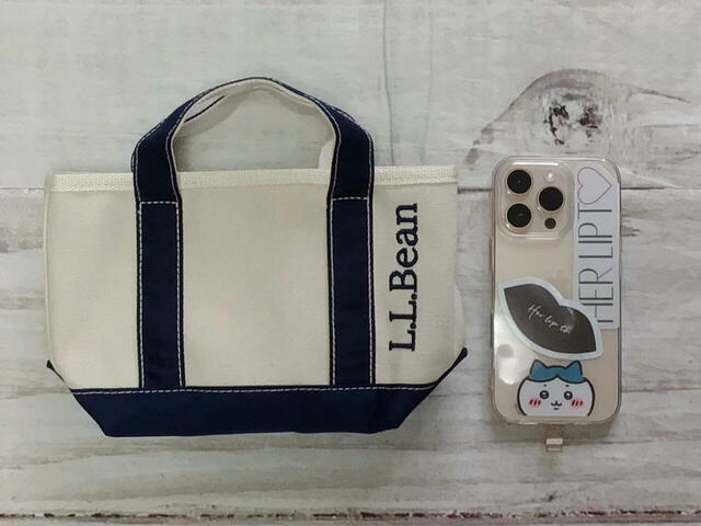 iPhone16proと並べてみました。スマホは横にすれば収納できます