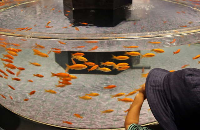 ぬるぬる＆にょろにょろな不思議ないきものたち