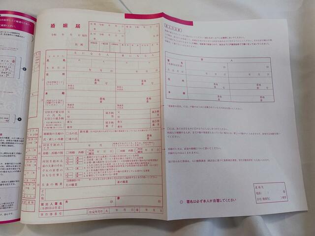 ピンクの婚姻届付き