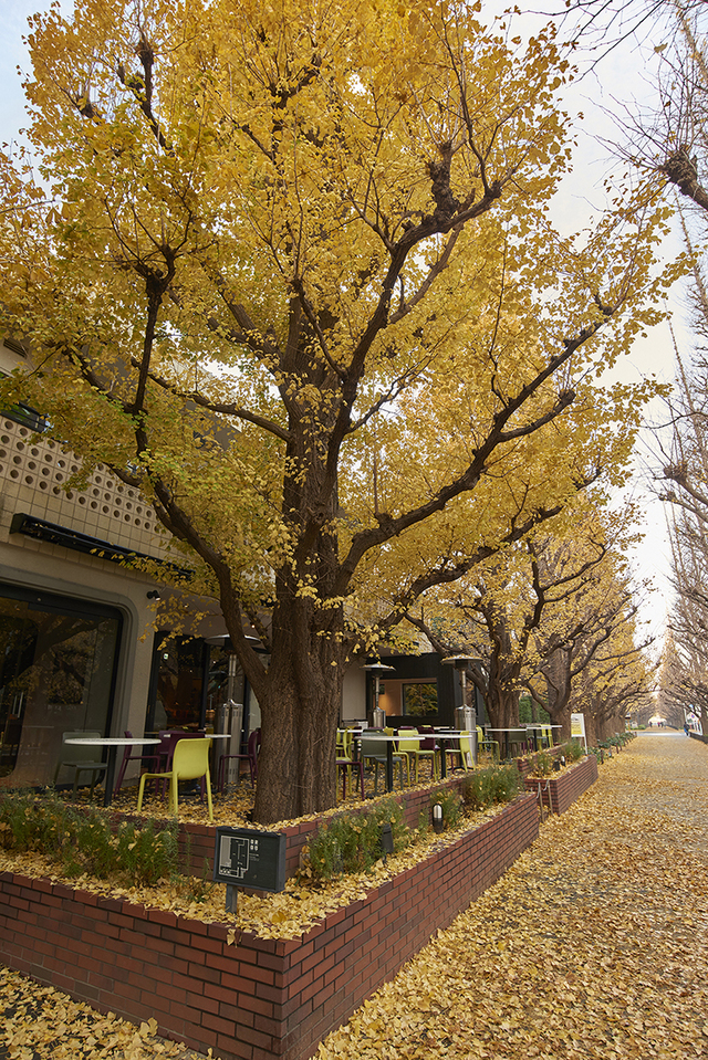 キハチ 青山本店