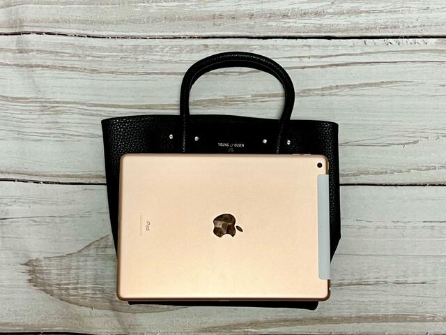 iPadも入るサイズ感