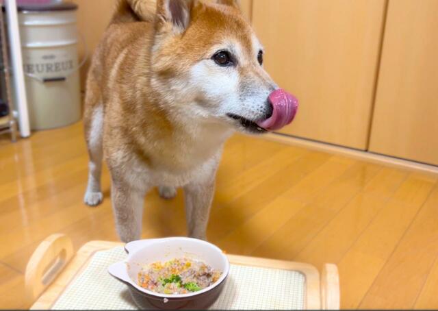 【帝塚山WANBANA犬用アイス】おいしくてご機嫌です