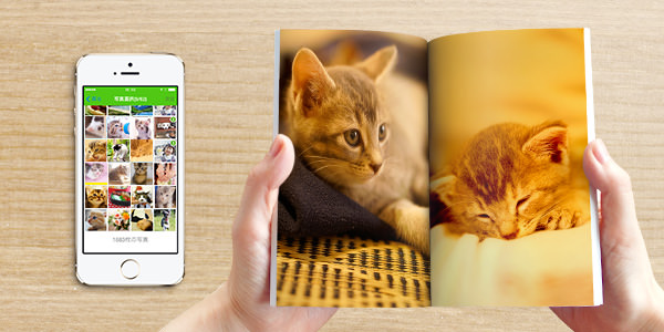 【ペットのアルバム・フォトブック作成サービス TOLOT】文庫本サイズだから鞄に入れて持ち歩ける