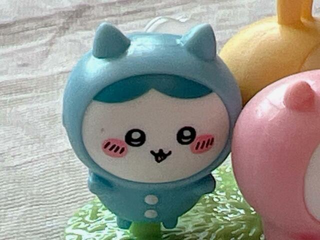 眉なしのハチワレでした…！ある意味レアでラッキー？！