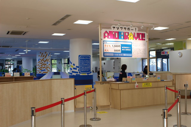 わからないことがあれば、スタッフに聞いてみて。