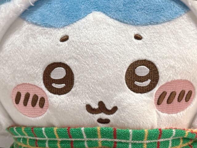 お顔は刺繍で表現されています。ハチワレの愛らしさがしっかりと再現されており感動!