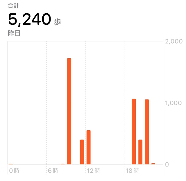 【AMERICAN HOLIC 整履き】実際に履いて1日おでかけしました。総歩数は5240歩。足は全く疲れませんでした！