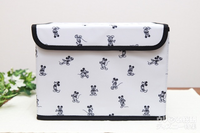 『InRed 2021年8月号』特別付録「収納ボックス」｜レトロミッキーの総柄