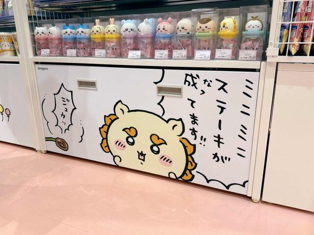 シーサーも発見できました！