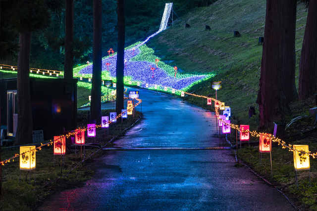 アパリゾート上越妙高「アパリュージョン2019」ナイトサファリアニマルロード