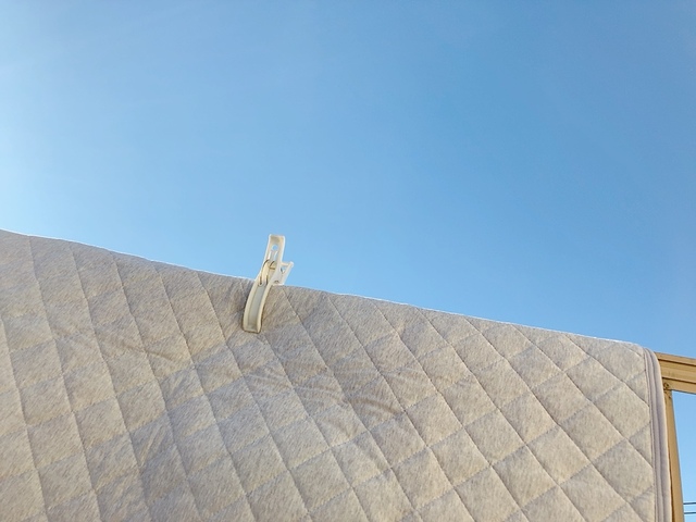 【ニトリ 綿入り洗えるキルトラグ(オーガニックコットン混 OGキルト s185X185 TC13)】花粉が気になる人は室内干しでも大丈夫だと思います