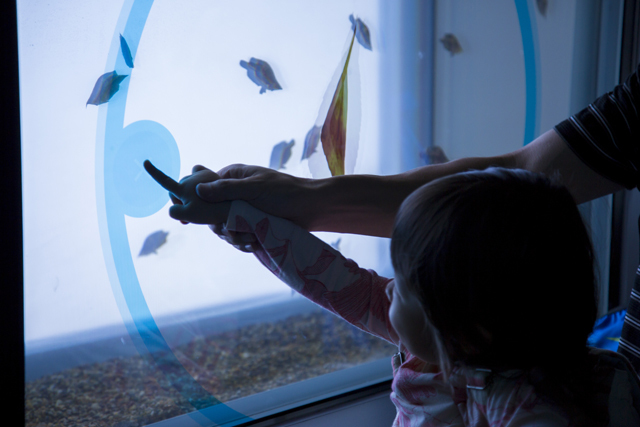 マジカルグラウンド　タッチパネル水槽 / エプソン アクアパーク品川