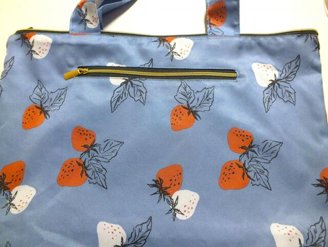 【カルディいちごバッグセット】外側には1つポケットが。サイズ：縦18×横21cm、マチなし