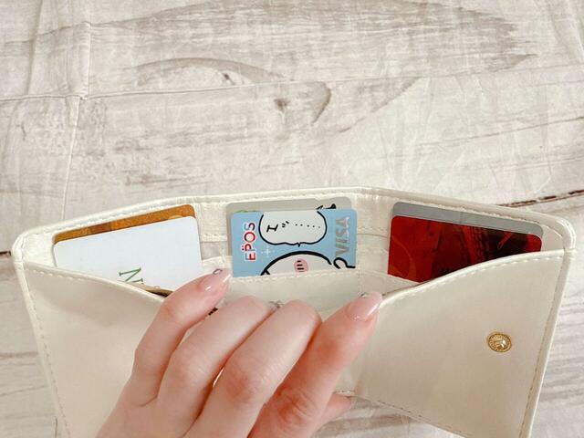 カードもたくさん入ります♪