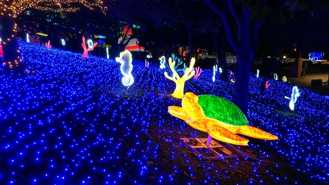 さがみ湖イルミリオン