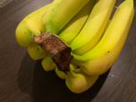【コストコ オーガニックバナナ】個体差はありますが1房のボリューム感たっぷり