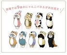 【モフサンド】「mofusand POP UP SHOP」9体のかわいいにゃんこパネル