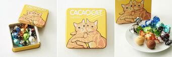 「Cake.jp ポップアップイベント」CACAOCAT缶 ミックス 8個入り HanaH