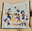 ディズニーランド・リゾート70周年グッズ　ショッピングバッグ中