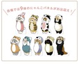 【モフサンド】「mofusand POP UP SHOP」9体のかわいいにゃんこパネル