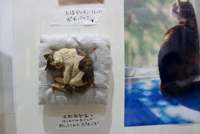 可愛くてキュンキュンする「吉祥寺ねこ祭り」の猫たち