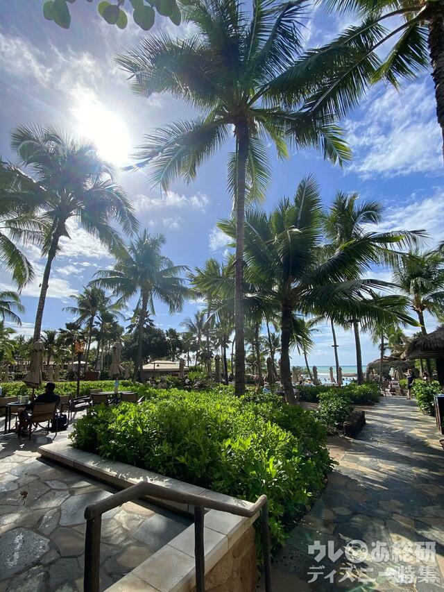 アウラニの風景