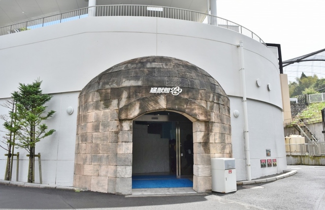 レッサーパンダの次に人気なのが猛獣館