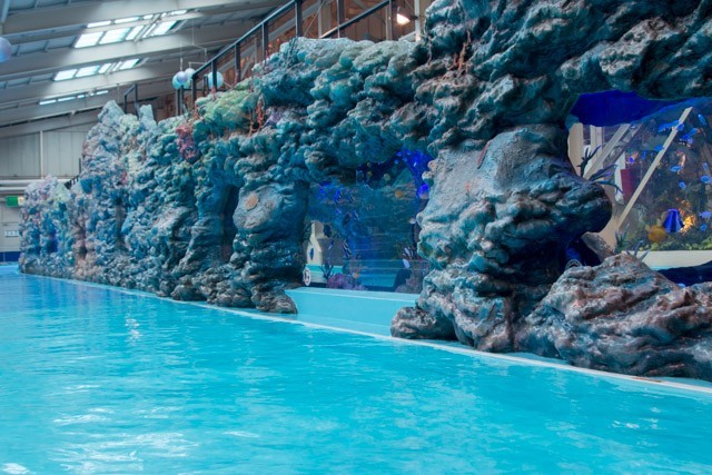 南国世界は途切れることなく続く