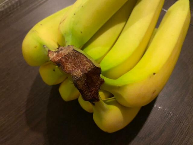 【コストコ オーガニックバナナ】個体差はありますが1房のボリューム感たっぷり