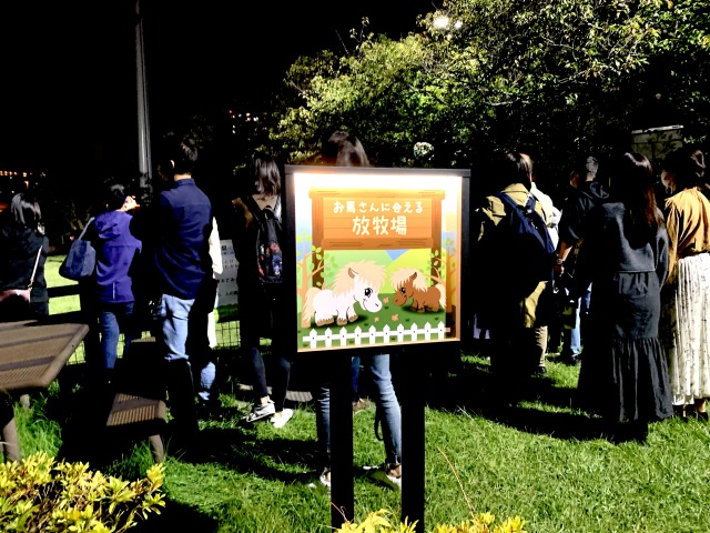 ポニーやミニチュアホースが放牧されている馬場