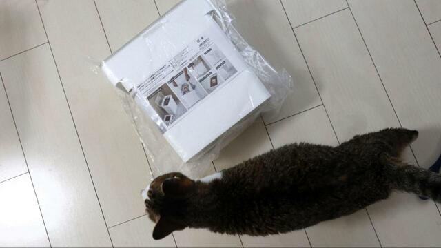 【tower（山崎実業） 密閉袋ごとペットフードストッカー】角のあるデザインは猫のため？