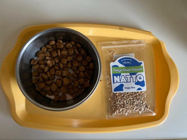 【Doggy Box フリーズドライひきわり納豆】外出時のおやつとしても活躍しそう！