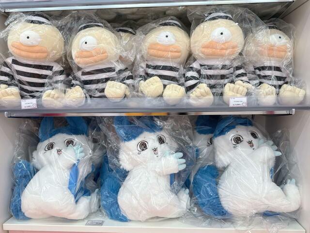 棚にひっそりといた、キメラ化したハチワレ。連れて帰ろうか迷いました…