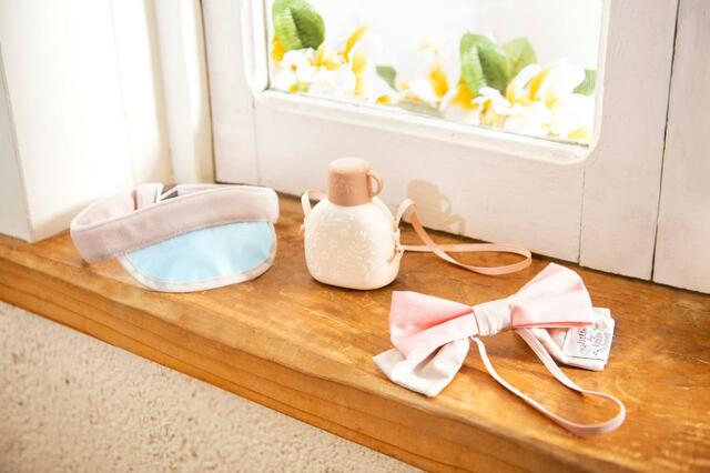 ダッフィー＆フレンズ「リトル・バイ・リトル・クローゼット」グッズ｜販売店舗：東京ディズニーシー「マクダックス・デパートメントストア」