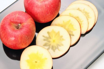 蜜の量がものすごい 幻のりんご こうとく 希少な大玉を限定販売 うまいめし