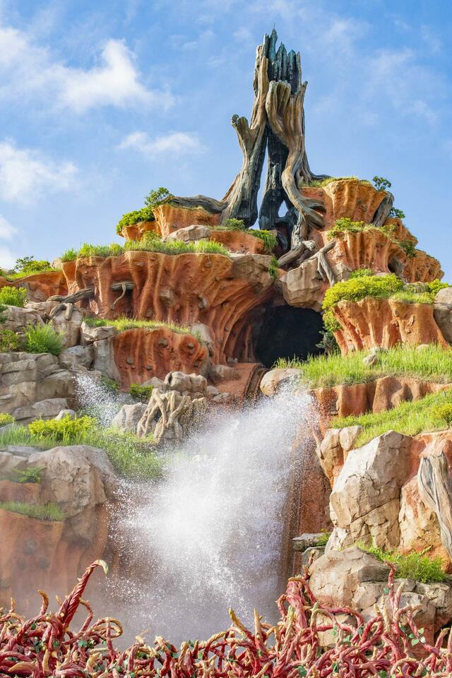 東京ディズニーランド「スプラッシュ・マウンテン“びしょ濡れMAX”」