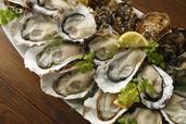 「牡蠣料理 堪能 食べ放題」