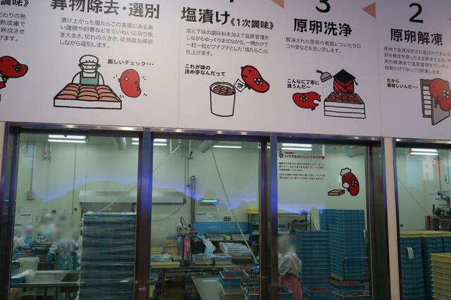 明太子工場の様子　パレットが山積み