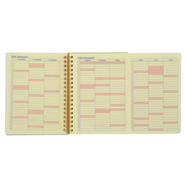 【デルフォニックス】ラプンツェル＆フリン・ライダー、パスカル Rollbahn Diary L 手帳・スケジュール帳 CALENDAR＆ORGANIZER 2026 2,400円