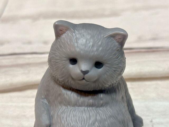 なんだか哀愁が漂う表情…